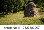 A large haystack stands in a sunlit grassy clearing surrounded by trees, capturing the peaceful simplicity of rural life and traditional farming.