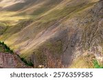 A large herd of sheep and sheep grazing in the Jily-Su tract. The Jily-Su tract is a resort area in Kabardino-Balkaria on the northern side of Mount Elbrus, with a large number of thermal springs and 