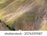 A large herd of sheep and sheep grazing in the Jily-Su tract. The Jily-Su tract is a resort area in Kabardino-Balkaria on the northern side of Mount Elbrus, with a large number of thermal springs and 