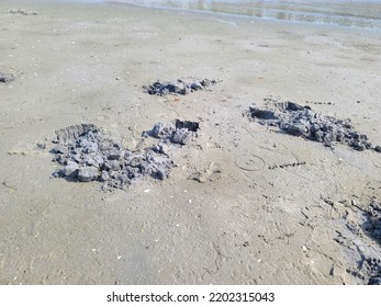 Large Holes Beach Where People Have Stock Photo 2202315043 | Shutterstock