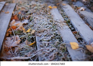 large horizontal photo nature Park. gold autumn. old wooden staircase with frozen green leaves in morning frost on the grass and wooden steps.
