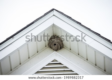 A large hornet's nest in the top of a house with hornets flying and in the entrance. Needs an exterminator to spray the dangerous nest.