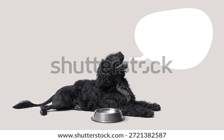 Large hungry dog lying down next to an empty bowl and asking for food, bubble speech with copy space