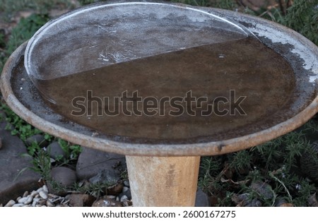 LARGE ICE DISK DISLODGED FROM THE SURFACE OF A BIRDBATH IN WINTER