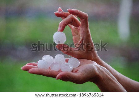 Large ice hail in female hands