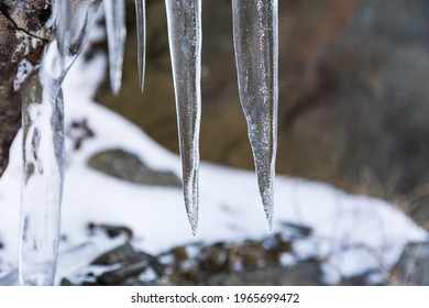 Large icicles in winter time