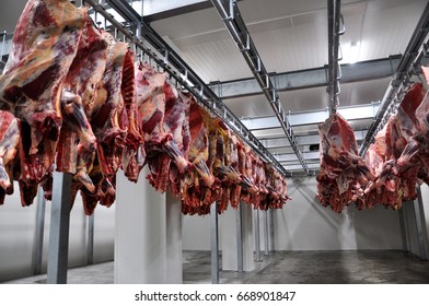 Large industrial freezer with rows of half a pound of beef