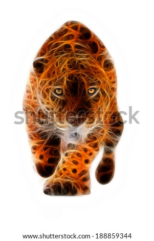 large jaguar male performing an attack with his ferocious look straight to your eyes isolated on white