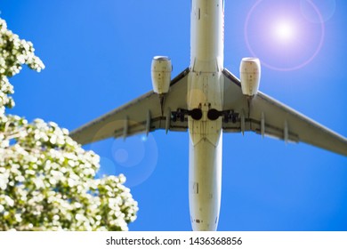 Large Jet Plane Overhead On Landing With The Background Of A Blue Sky And Bushes In The Front, Effect Of Tilt-shift And Camera Reflections