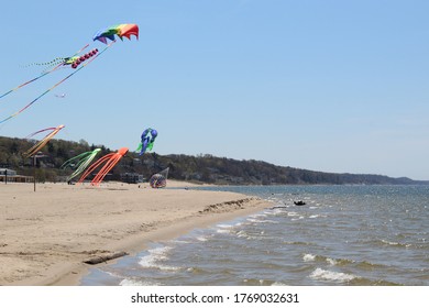 Large Kites At Grand Haven State Park