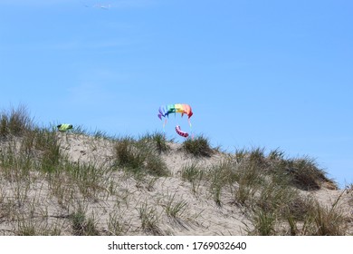 Large Kites At Grand Haven State Park