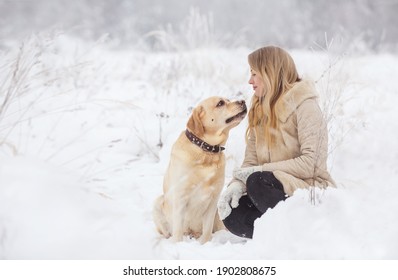 A Large Labrador Dog And A Cat In Winter On A Walk With A Young Woman In A Snowy Field