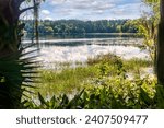 Large lake at MaClay Gardens National Park in Tallahassee, Florida