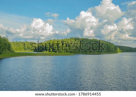 a large lake surrounded by forest