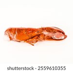 A large lobster is shown on a white background. The lobster is large and red, with a white tip