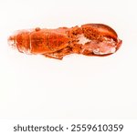 A large lobster is shown on a white background. The lobster is frozen and he is in a state of preservation