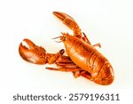 A large lobster is shown on a white background. The lobster is brown and has a lot of detail, including its claws and antennae. Concept of abundance and luxury