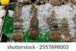 Large Lobster tails on ice being displayed for sale on the street markets of Bangkok, Thailand.