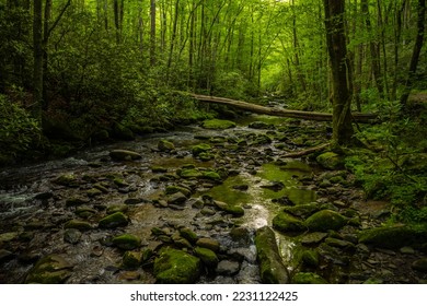 Large Log Fallen Across Mossy Rocks In Lynn Camp Prong in Great Smoky Mountains National Park