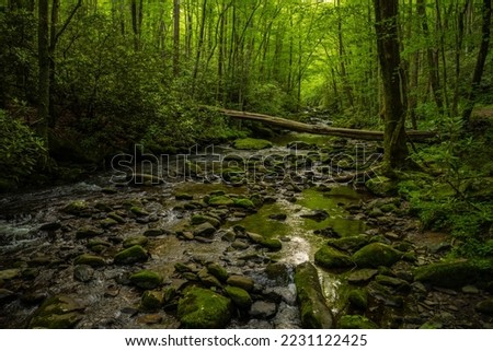 Large Log Fallen Across Mossy Rocks In Lynn Camp Prong in Great Smoky Mountains National Park