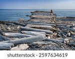 Large logs form the roof of a driftwood shelter that looks over the waters of Puget Sound from San Juan Island.