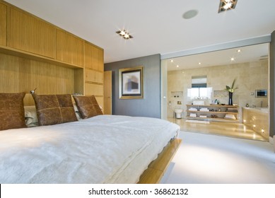 Large Luxury Penthouse Bedroom With En Suite Bathroom