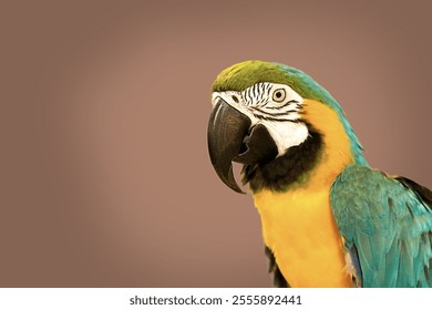 Large macaw parrot close-up on a mocha mousse background. - Powered by Shutterstock