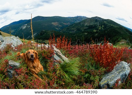 Similar – Image, Stock Photo Majestic Pico Câo Grande rising through the mist