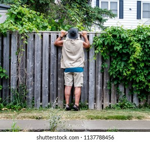 Large man looking over wooden fence into neighbor's yard.