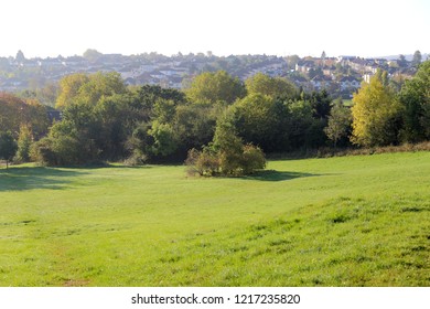 Large meadow in Knowle, Callington Road Nature Reserve,with Bristol city in the background.