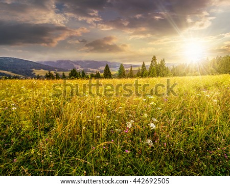 Image, Stock Photo Landscape with meadows, fields and trees in morning sun and fog