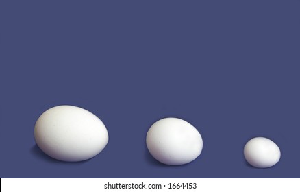 Large, Medium, Small Eggs