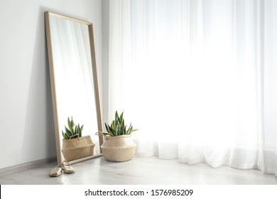 Large Mirror And Potted Plant Near Window In Light Room