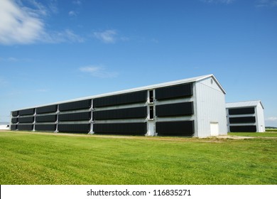 Large Modern Industrial Chicken Coop; Perfect For Food Or Agriculture Related Themes.