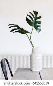 Large Monstera Palm Leave In A White Vase And Room