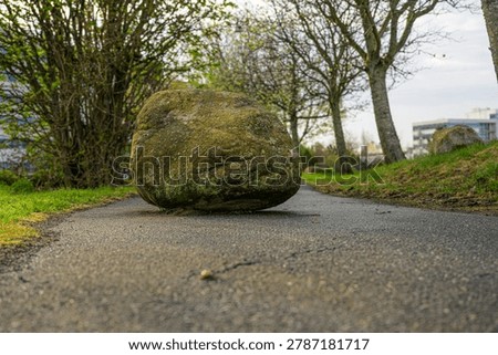 Large mossy boulder blocking quiet paved park pathway