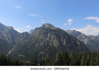 large mountain range with forest