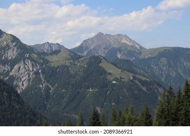 large mountain range with forest