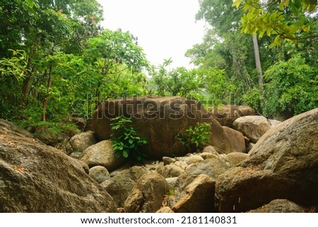 Large natural rocks block a mountain stream in the forests of southern Thailand.
