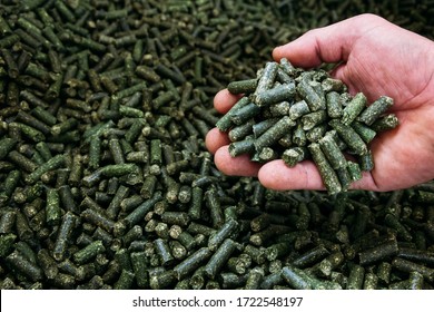 a large number of alfalfa green granules in a warehouse for the production of agricultural feed ready for packaging - Shutterstock ID 1722548197