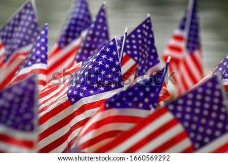 large numbers of American flags as a tribute