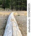 Large Old Fallen Log Located Near Entrance to Hiking Trail
