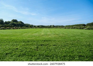 A large, open field of grass with a clear blue sky above. The grass is lush and green, and there are no trees in the foreground. The scene is peaceful and serene