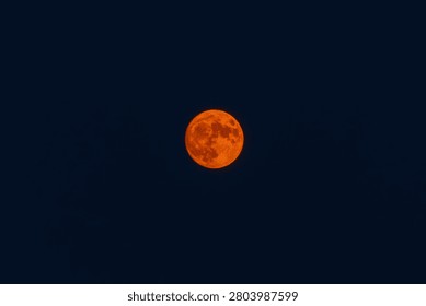 Large orange full moon in deep blue night sky in summer
