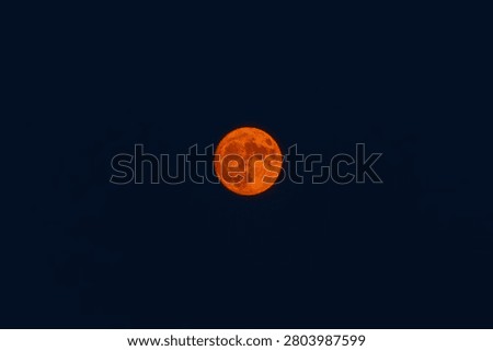 Large orange full moon in deep blue night sky in summer