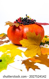 Large orange pumpkin decorated with white chrysanthemum flowers, red rowan berries, blue wild grapes, surrounded by autumn yellow, red and brown maple and oak leaves. White background. Fall concept