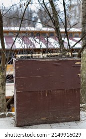 Large Outdoor Wooden Flower Box In The Form Of A Box