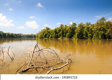 A Large Oxbow Lake In A Tropical Rainforest