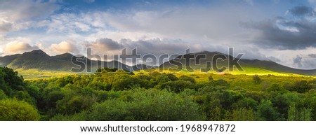 Large panorama with green forest and mountain range illuminated by golden sunlight at sunrise. Moody and dramatic sky at MacGillycuddys Reeks mountains, Ring of Kerry, Ireland