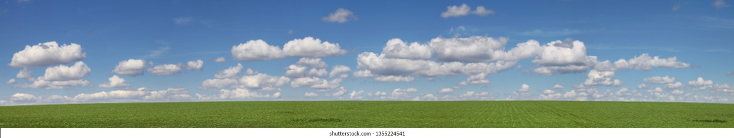 Large panoramic view of green field and picturesque blue sky with white clouds. Agriculture background, seeded field.